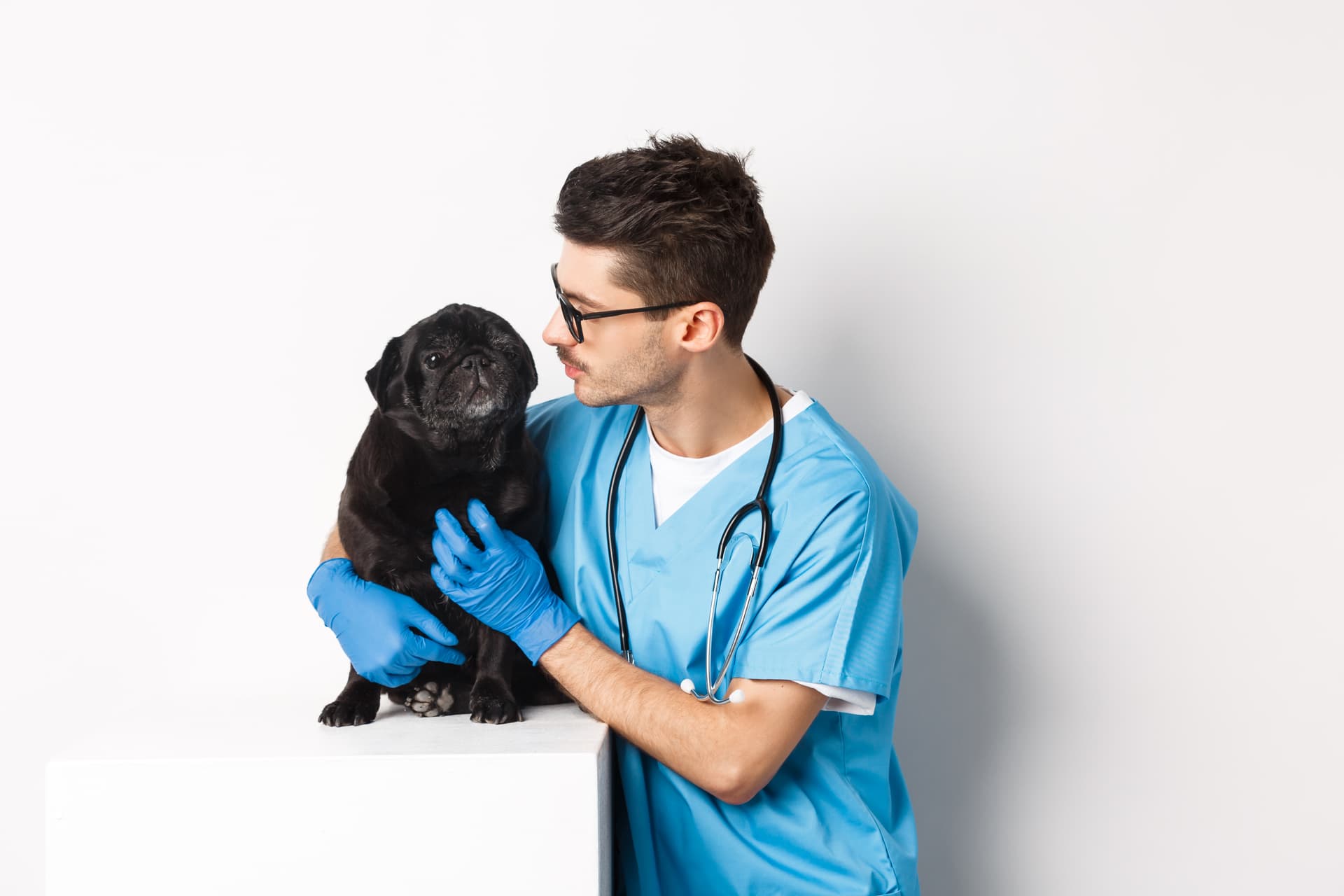 Clínicas veterinárias usando o Agenda Pet para gestão eficiente de agendamentos e pacientes